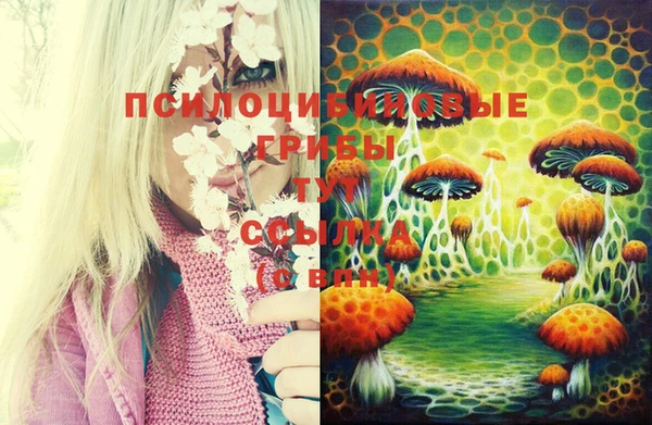 метадон Абдулино
